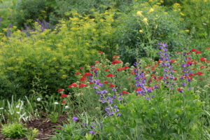 Cover photo for Register Now for a  Spring Tour of the Pollinator Paradise Garden!