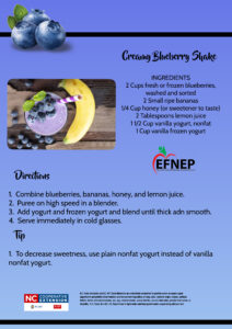 Creamy Blueberry Shake